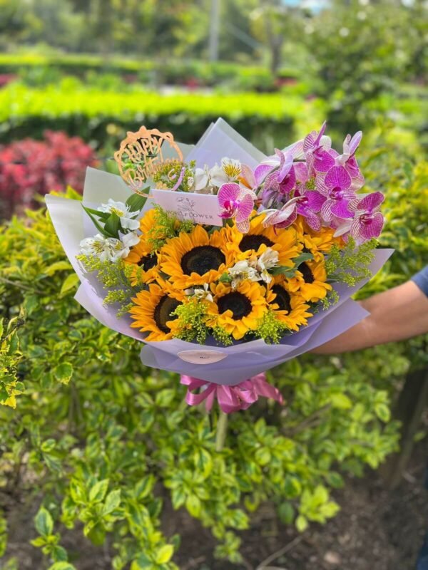 SUNFLOWER ORCHID - Imagen 2