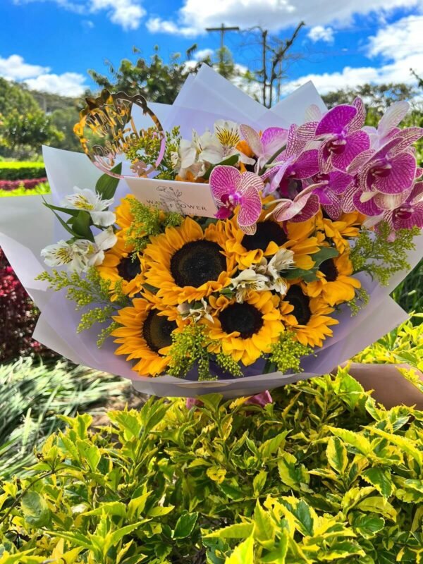 SUNFLOWER ORCHID