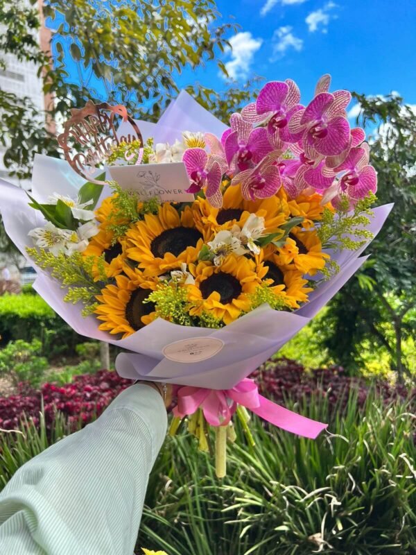 SUNFLOWER ORCHID - Imagen 3