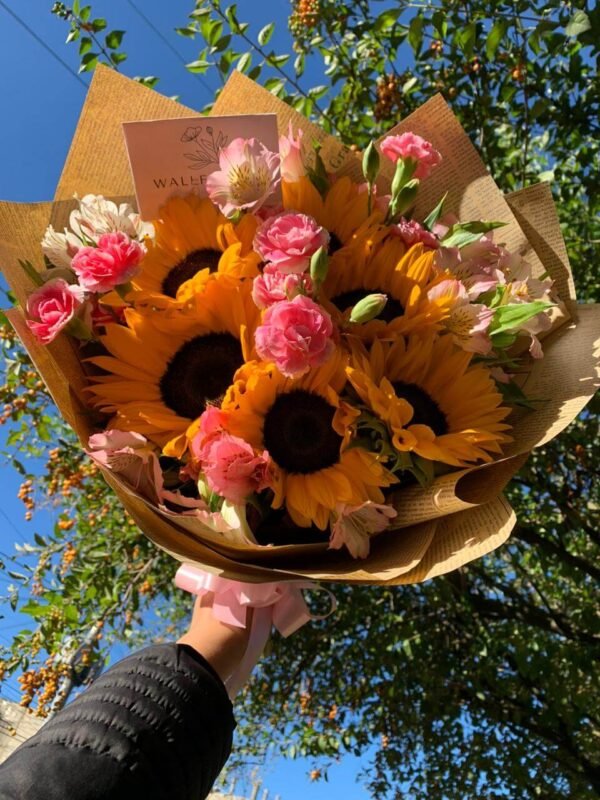 Sun Surprise