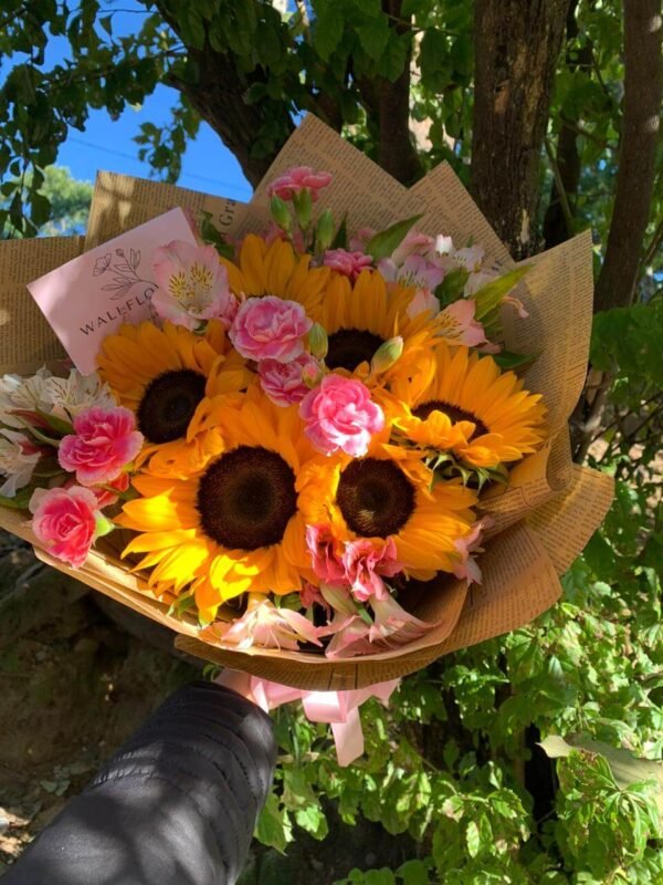 Sun Surprise - Imagen 3