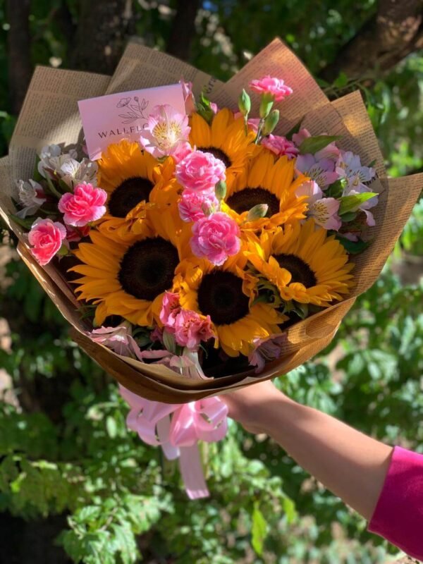 Sun Surprise - Imagen 2